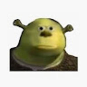 Meet your Posher, Maya